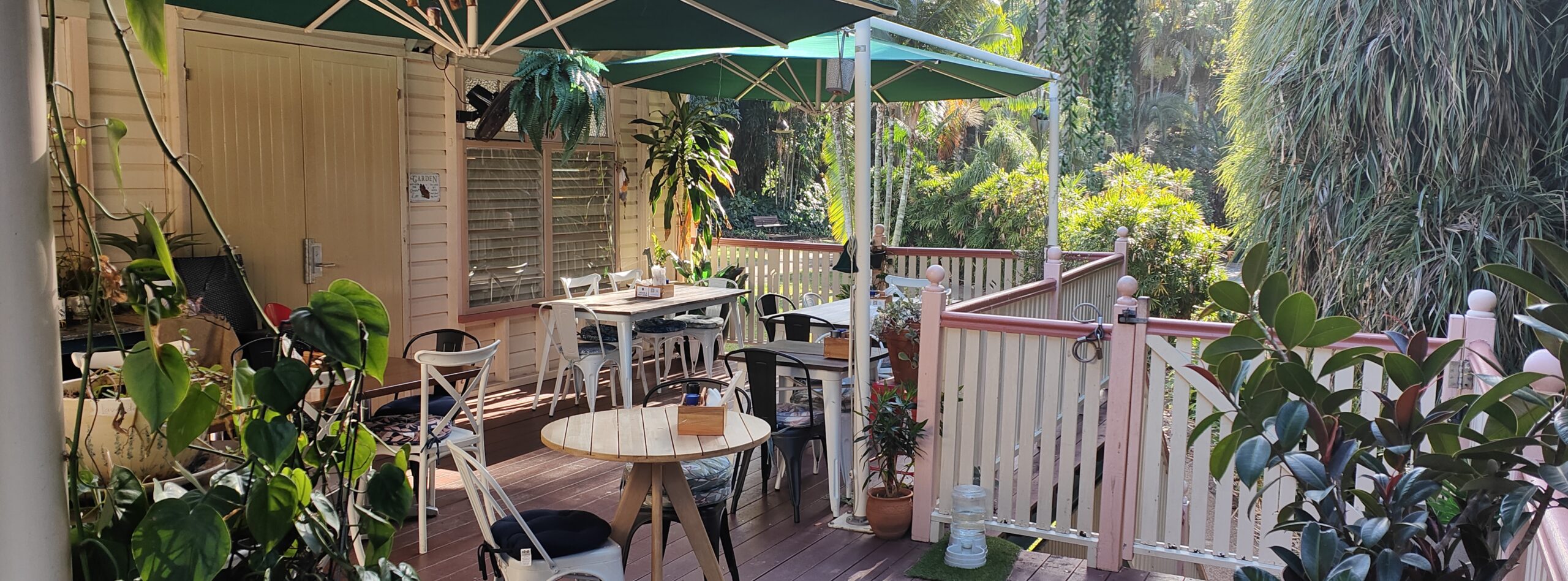 The leafy outdoor deck at Absolute Cravings overlooking the Palmetum Gardens